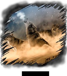 trije volkovi odzadje test